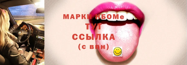 сатива Ельня