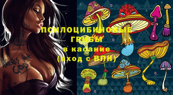 спиды Армянск