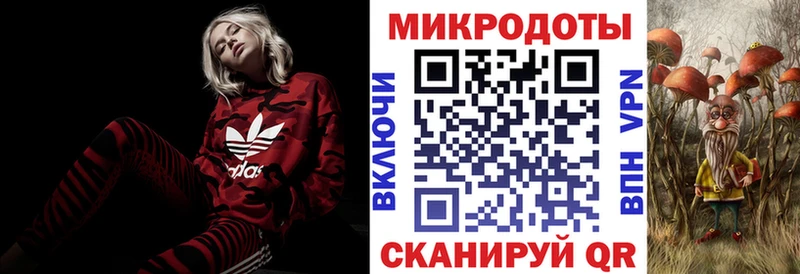 Галлюциногенные грибы Psilocybine cubensis  где купить наркотик  blacksprut ссылка  Малая Вишера 
