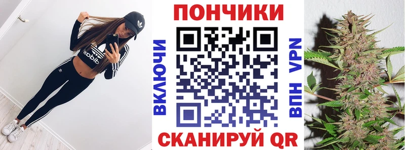наркота Малая Вишера Конопля Amnesia